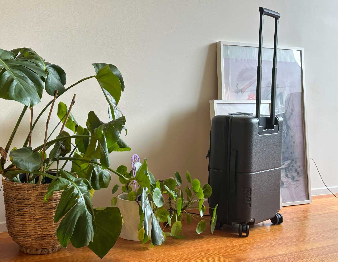 July Carry-on Pro in my living room